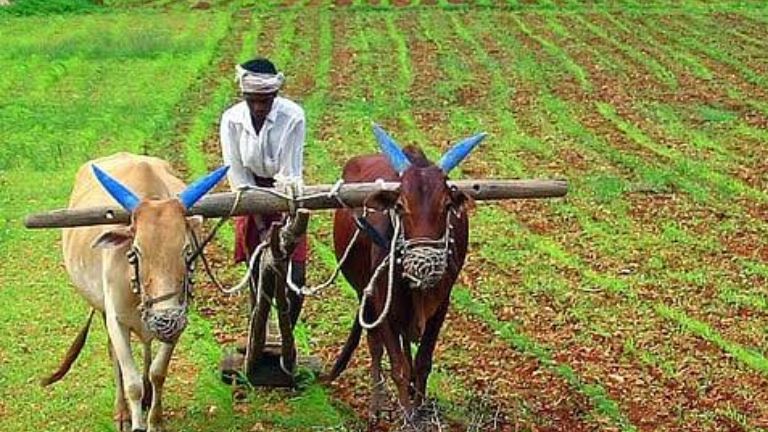 ರೈತರಿಗೆ ಬೆಳೆ ಹಾನಿ ಪರಿಹಾರ ಮತ್ತು ಬಡ್ಡಿರಹಿತ ಸಾಲ 2026